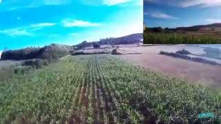 Monte do gozo campo y maizal 31-07-2015 DJI F450