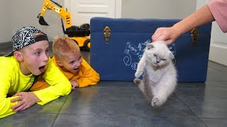 Мама ПРОТИВ ... Хочет выбросить на улицу!!!Mom VS kitten. What now?