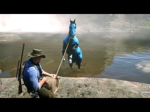 Arthur catch a most expensive Horse - Rdr2 Gameplay.