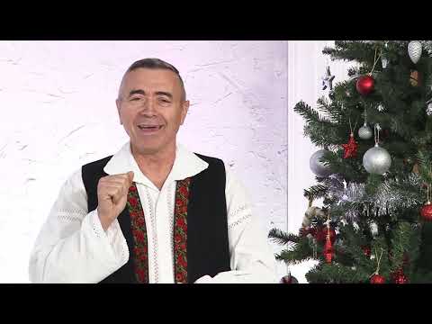 Nelu Bitina - Nu-i bogat cine se crede NOU 2020