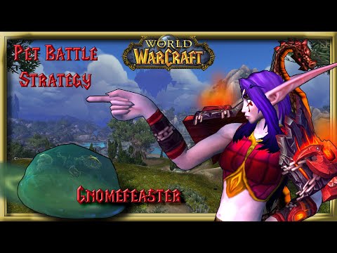 World of Warcraft - Pet Battle Strategy - Gnomefeaster
