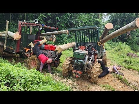 agricultural vehicles transport timber, harvest large trees and transport by truck