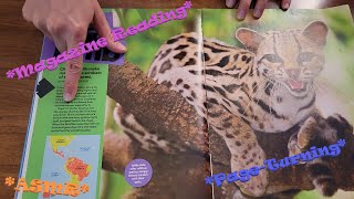 National Geographic Junior Magazine ASMR (Soft-Spoken) *Magazine Reading, Page Turning, Animals*