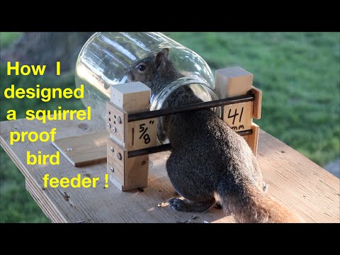 This Squirrel-Proof Bird Feeder Design Is Genius