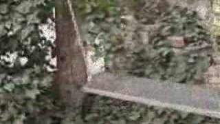 The Album Leaf - Red Eye