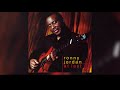 Ronny Jordan - At Last