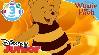 The Mini Adventures of Winnie the Pooh |  The Honey Song | Disney Junior UK