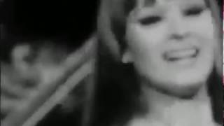 &quot;Pushin&#39; Too Hard&quot;- The Seeds