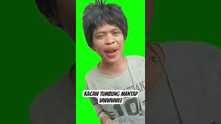 Download lagu lanjut epesode .ya tumbung mantap mp3