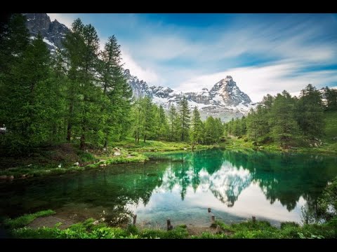 Aleksandar Stojic i NO RTB - Gon' goveda, Maro moja