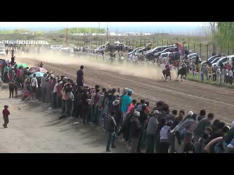 BEINGING  Club Hípico Cipriano Catriel - Catriel - Río Negro - 24-09-23