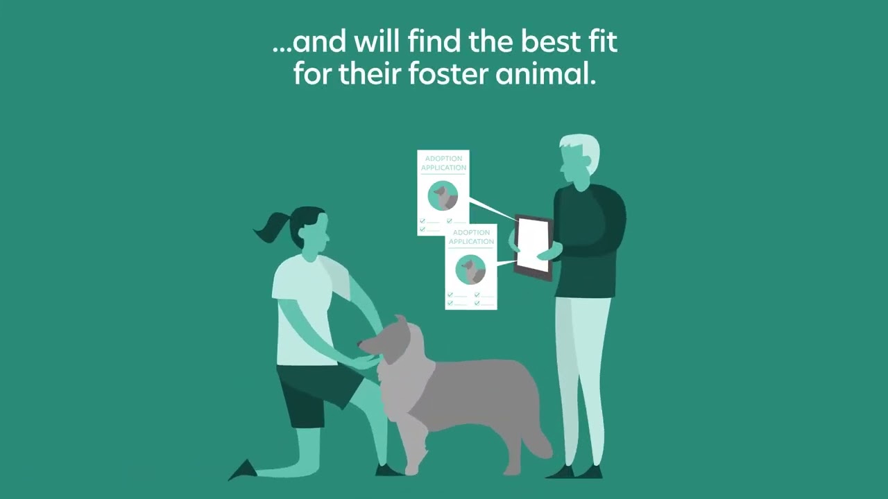 How to Adopt at Ruff Start Rescue