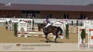 Video von Aces High 2