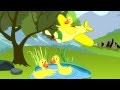 Kaczuszki, Kaczuchy - Piosenka dla dzieci 