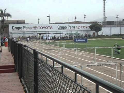 Confra Peru 2013 - 110m s/ barreira