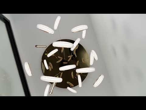 17a Bridges Avenue, Edithvale, VIC 3196, 4房, 3浴, House