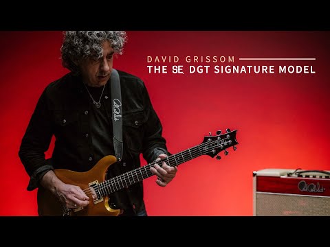 Paul Reed Smith PRS SE DGT David Grissom Gold Top Electric Guitar w/ Gig Bag image 13