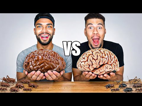 SCHOKO ESSEN VS ECHTES ESSEN!