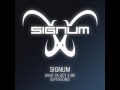Signum - What Ya Got 4 Me (Original Vocal Mix)