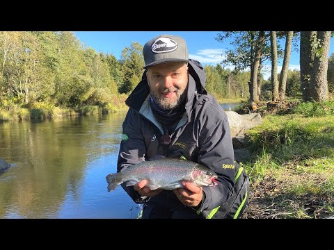 5 Vinkkiä Parempaan Kirjolohisaaliiseen