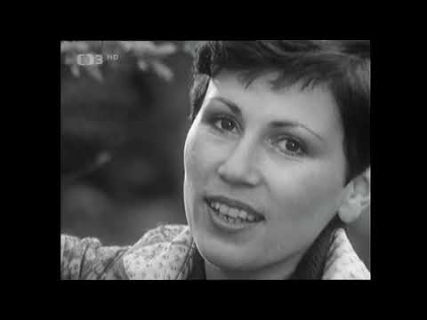 Helena Maršálková & Radek Tomášek - Džínová láska (1981)