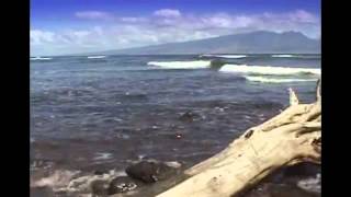 Karaoke - Fly Me To The Moon - Sitti Navarro