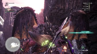 #6 珀弼の【アクション】 「MONSTER HUNTER  WORLD」