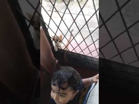 Ashveer's reaction to meeting Cat🥰 Pure Love 💕#youtubeshorts #love #cat #cutebaby @ashveersworld