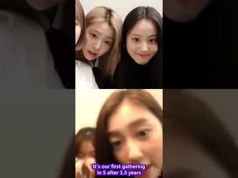 [ENG SUB] 190119 The Ark IG Live 디아크 완전체 인스타 라이브 Part 1 (5 min)