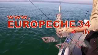 preview picture of video 'Pêche des calamars à la turlutte en bateau devant Sète. Episode 2 par Europêche34'