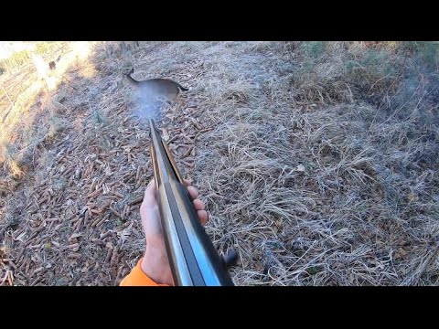Up Close And Personal!! 6 Kills On Camera (Meat hunting in overpopulated areas)