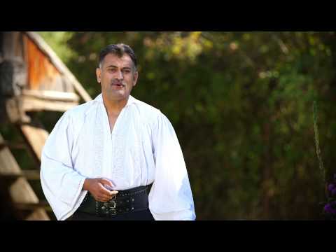 Ion Dragan - Mi-a albit parul la tample