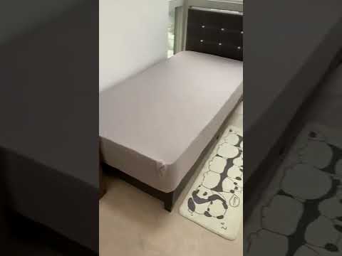 The Centris, 83 Jurong West Central 3, Room Rental, 150 sqft, Apartment For Rent, by Steve Voon, 500155817 - PropertyGuru.com.sg