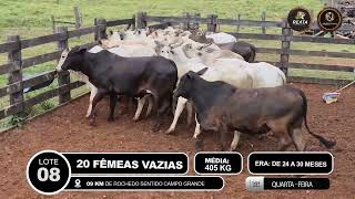 Vídeo LOTE 08
