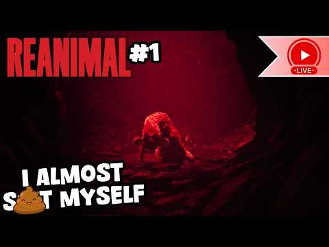 KillshotKitty Clips and 2 more