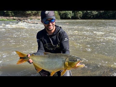 MONSTER FISH DRAGGED EVERYTHING AWAY | IGUAÇU RIVER | EPISODE 11 | FISHING