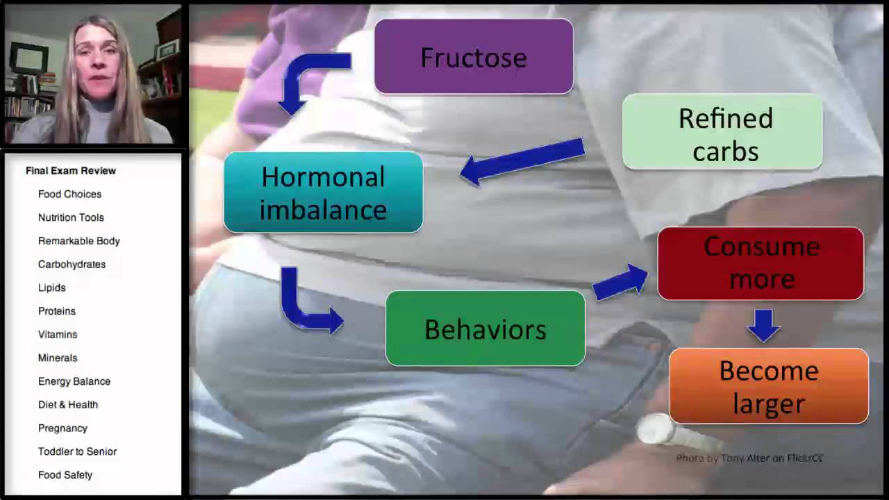 Energy Balance and Obesity Final Exam Review