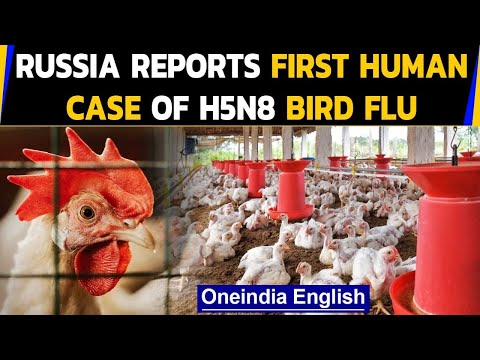 Russia: Bird flu virus transmitted to humans for the first time ever | Oneindia News