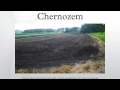 Chernozem 