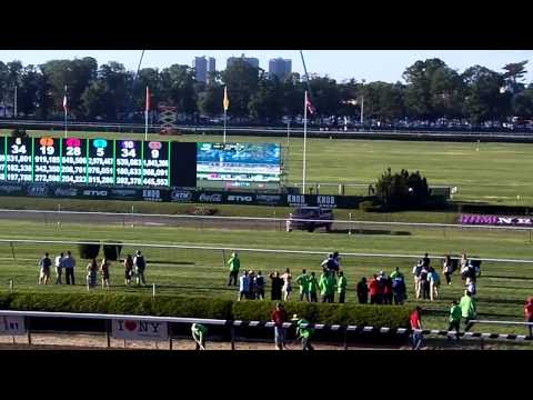 Tonalist wins 2014 Belmont Stakes