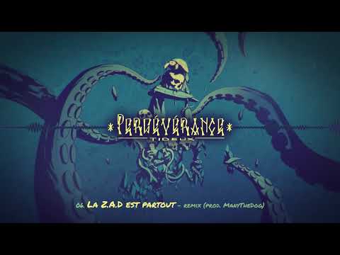 Tideux - La Z.A.D est partout - Remix - (prod. Many The Dog) - #Persévérance