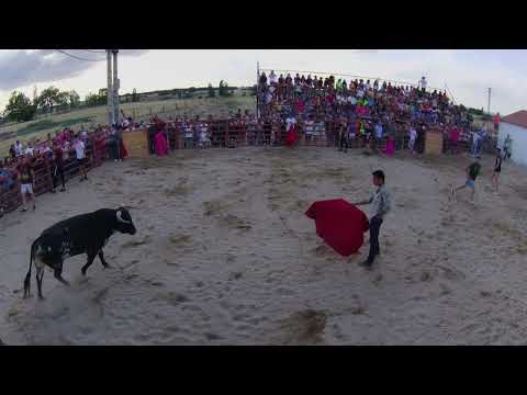 Emocionante I Toro de Cajón en Boada  