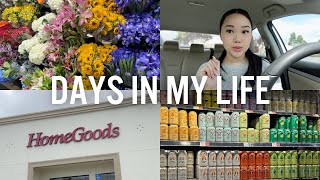 vlog: homegoods & whole foods shopping, best coffee order & more!