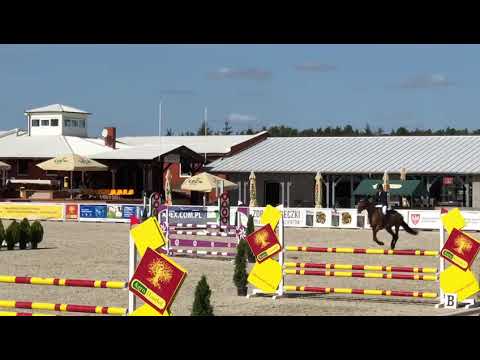 Carissima (Arezzo VDL x Carambole) 2019/09/06 I półfinał SCMK Olsza - 115cm I SPRZEDANA / SOLD