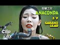 Anaconda Cursed Jungle 3 9 Snake S Nest Monster Movie Trailer ClipFlix