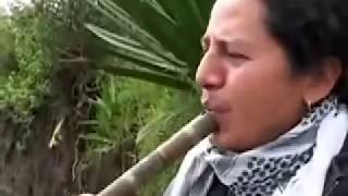 Andean Music Chayag Video