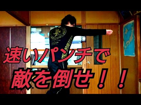 【速いパンチで倒せ！】ハヤテ流格闘技