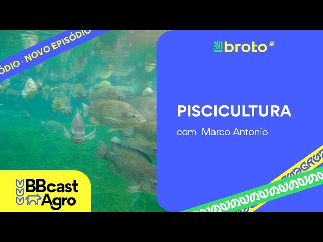 Piscicultura: tilápia, exportações e mercado externo | BBCast Agro – 30/09/2026