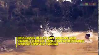 Download lagu Story Wa ||Ojo goblok mencinta #2 mp3 Download lagu Story Wa ||Ojo goblok mencinta #2 mp3