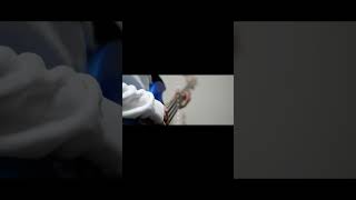 【#盗作】【#ヨルシカ】【#shorts】【#永久機関】  #盗作 #ヨルシカ  プロフよりYouTube fullへ飛べます！ #初音ミク #anime  #hatsunemiku